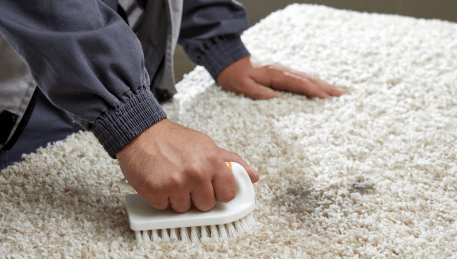 Professional Rug Cleaning Bellbrae